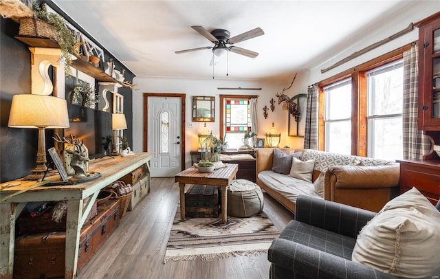 living room featuring ceiling fan and hardwood / wood-style flooring