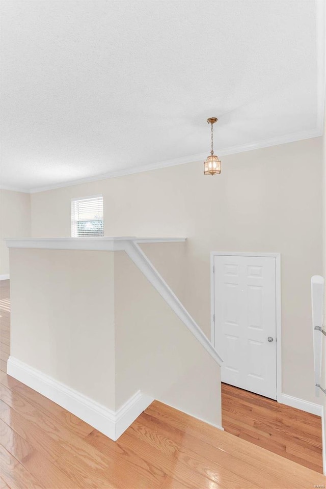 interior space featuring ornamental molding, wood-type flooring, and a textured ceiling