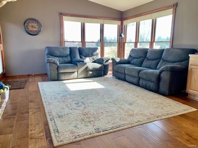 living room with wood-type flooring and lofted ceiling