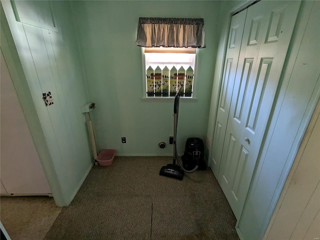 laundry area with carpet flooring