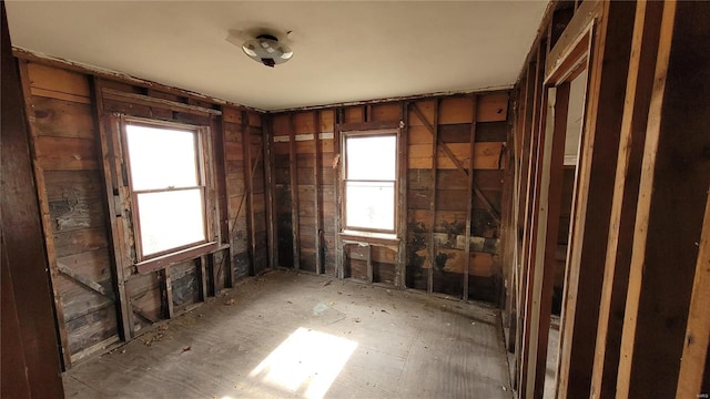 miscellaneous room with plenty of natural light