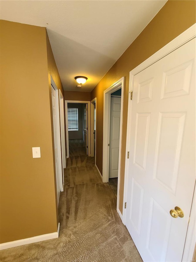 hallway featuring dark carpet