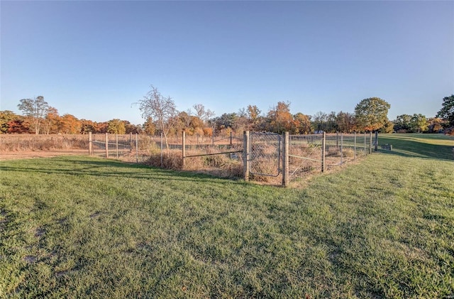 view of yard featuring a rural view