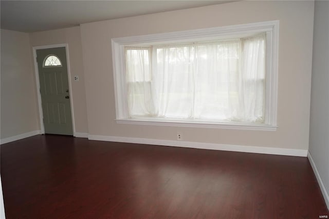 foyer entrance with dark hardwood / wood-style floors and plenty of natural light