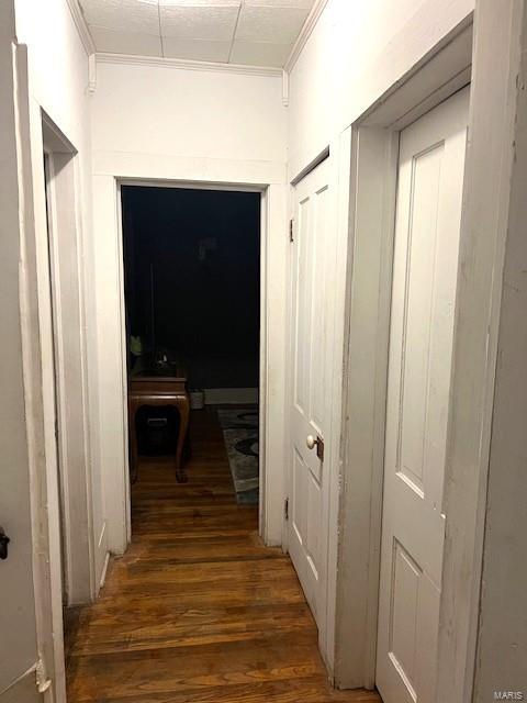 corridor with crown molding and dark hardwood / wood-style flooring