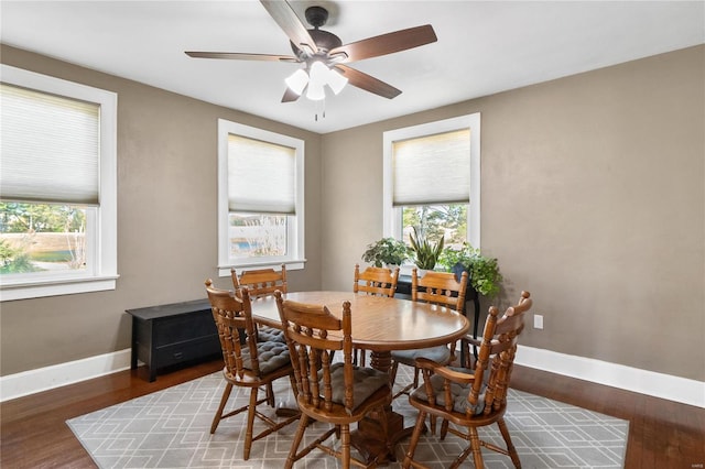 dining room with ceiling fan, a healthy amount of sunlight, and dark hardwood / wood-style flooring