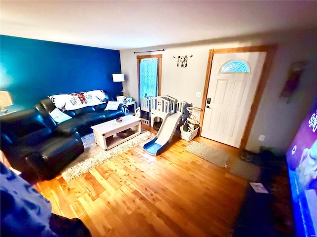 living room with wood-type flooring