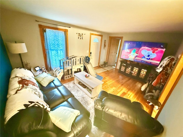 living room featuring wood-type flooring