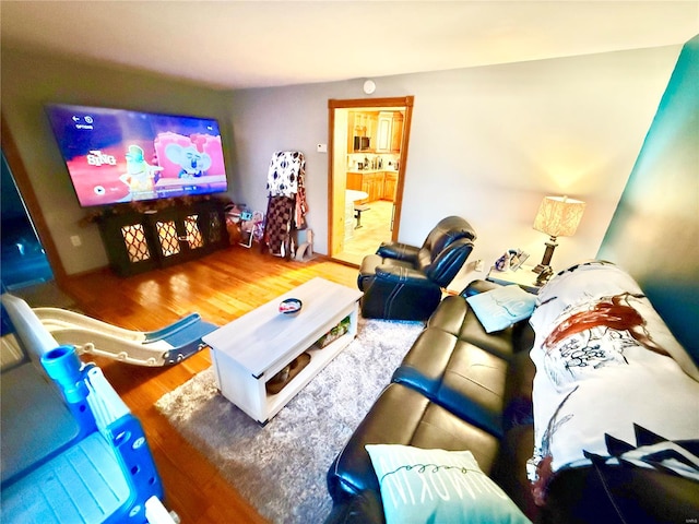 living room featuring wood-type flooring