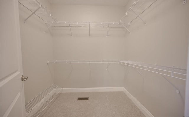 walk in closet with carpet