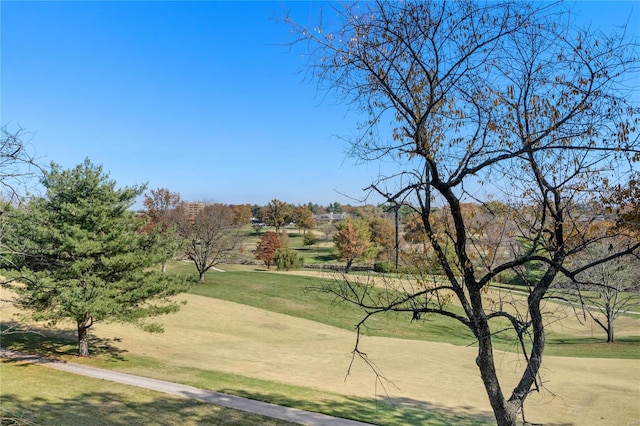 view of community featuring a yard