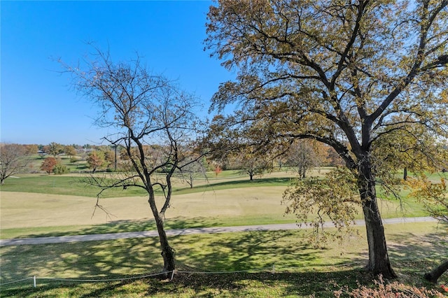 view of home's community with a lawn