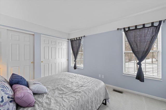 bedroom with a closet, carpet flooring, and multiple windows