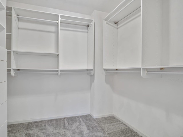 walk in closet with light carpet