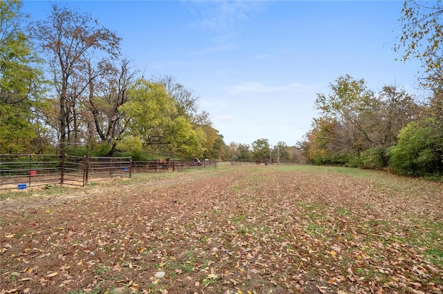 view of yard with a rural view