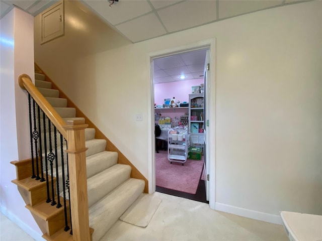 stairway with a paneled ceiling and carpet