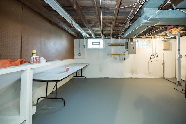 basement with electric panel and plenty of natural light