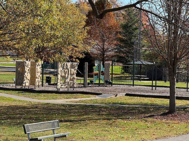 view of jungle gym