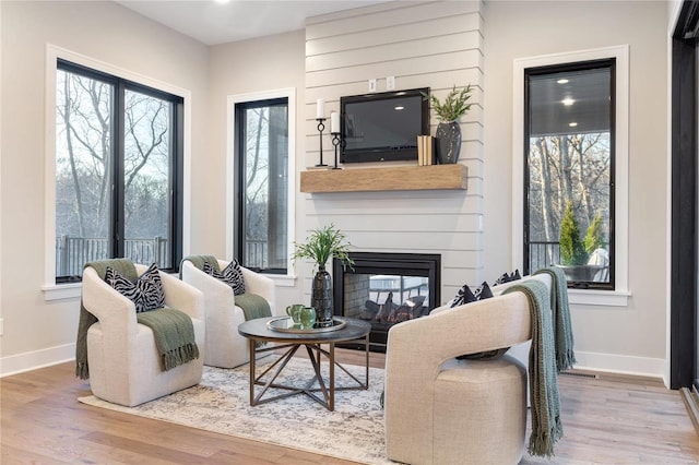 living room with wood-type flooring and a fireplace