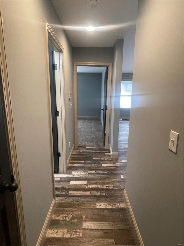 corridor with dark hardwood / wood-style flooring