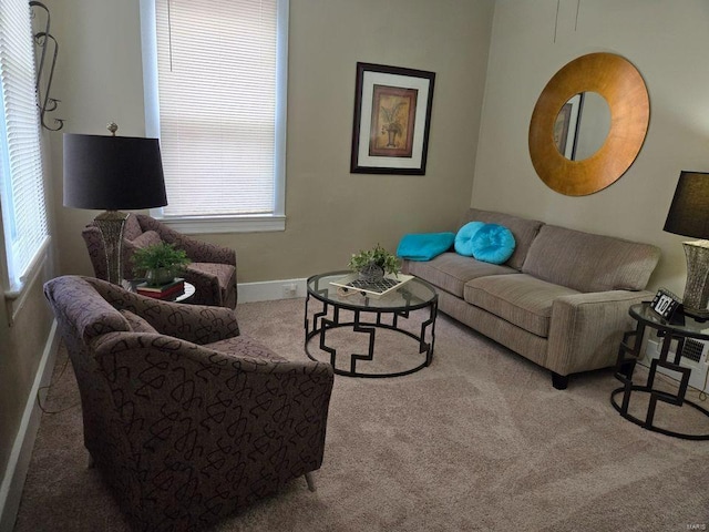 living room with carpet floors