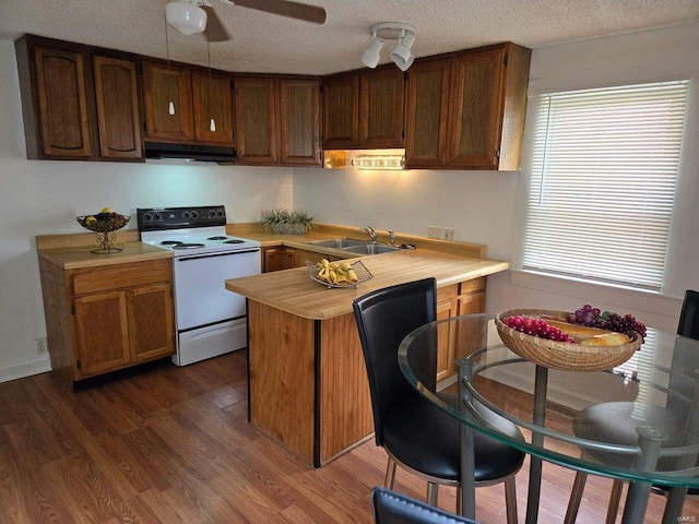 kitchen with dark wood-type flooring, range hood, sink, white range with electric cooktop, and a textured ceiling