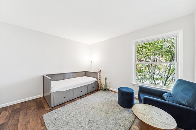 bedroom featuring dark hardwood / wood-style flooring