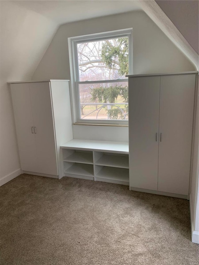 additional living space with vaulted ceiling and light colored carpet