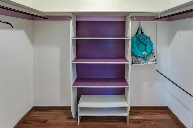 walk in closet featuring wood-type flooring