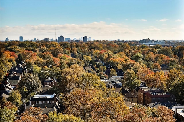 bird's eye view