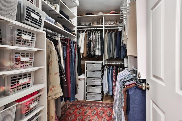 view of spacious closet