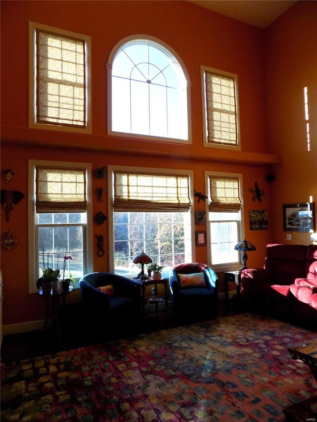 living room featuring a towering ceiling