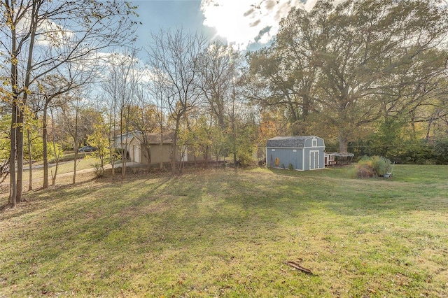 view of yard with a shed