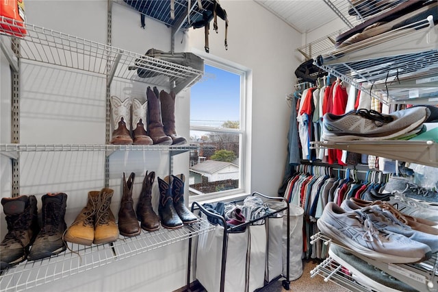 walk in closet with carpet floors