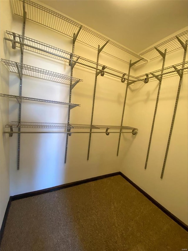 view of spacious closet