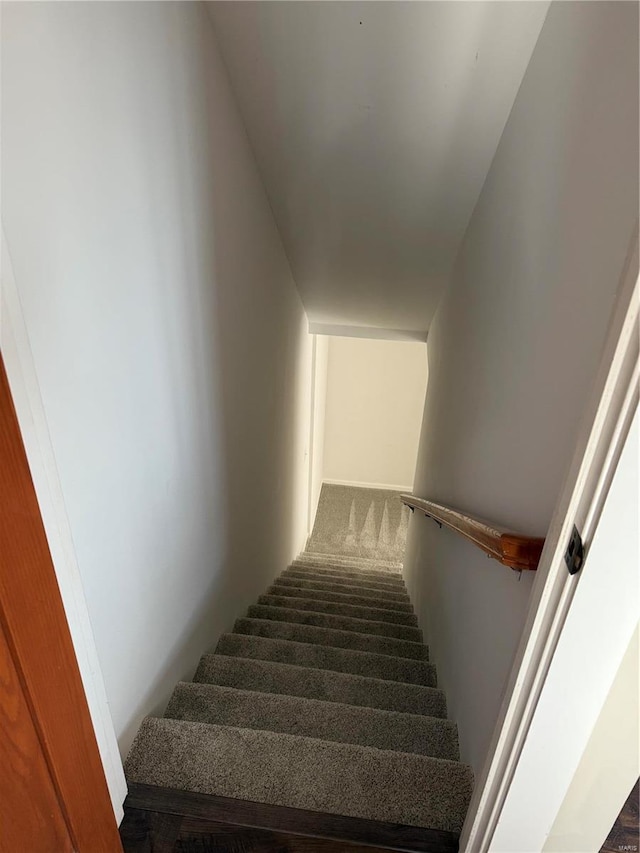 stairs featuring carpet floors