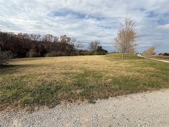 view of yard with a rural view