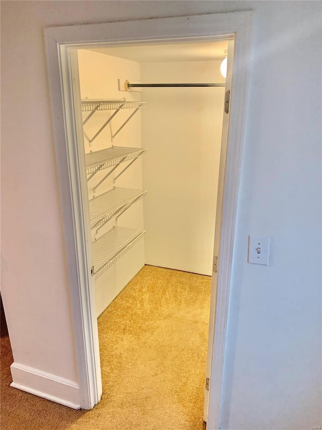 spacious closet featuring light carpet