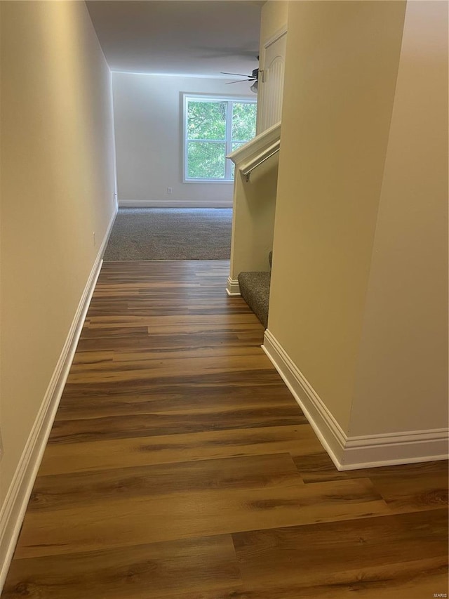 corridor with dark wood-type flooring