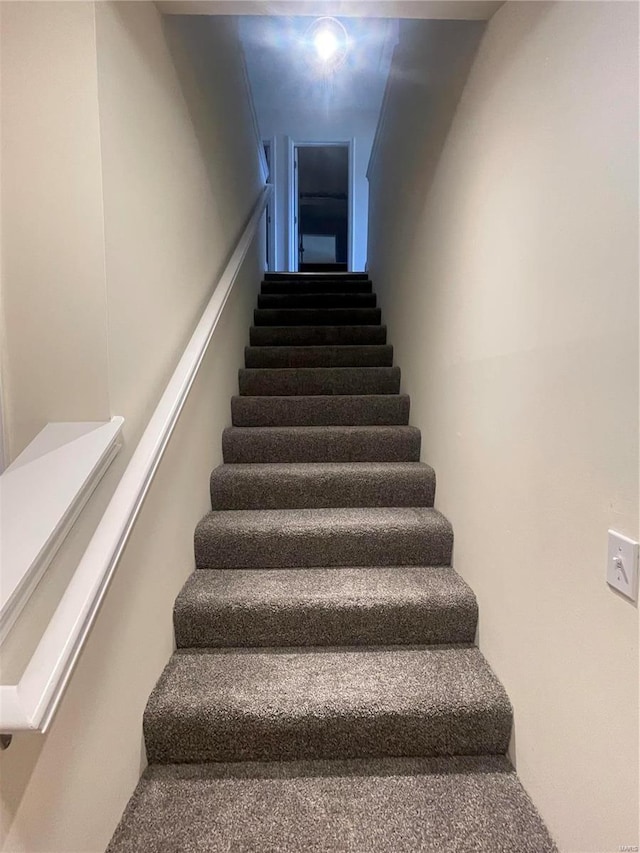 stairs featuring carpet flooring