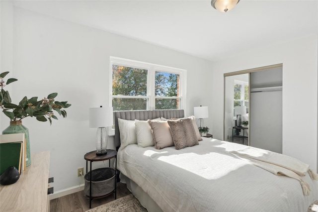 bedroom with hardwood / wood-style floors and a closet