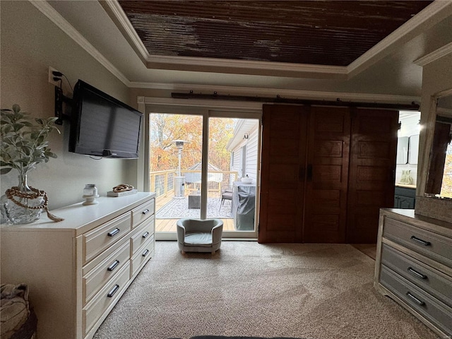 interior space featuring crown molding, a tray ceiling, and multiple windows