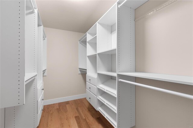 spacious closet with hardwood / wood-style flooring