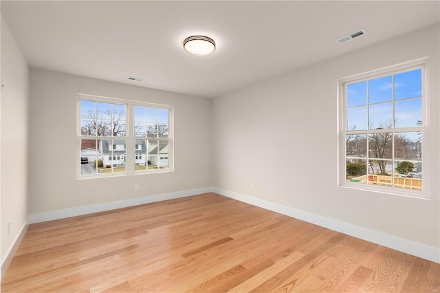 empty room with light wood-type flooring and a wealth of natural light