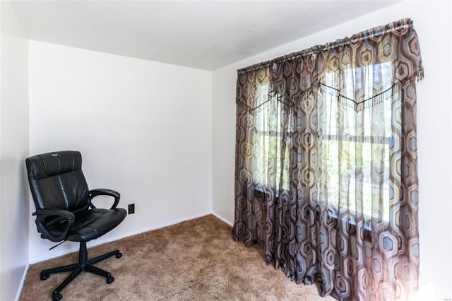 office featuring carpet floors