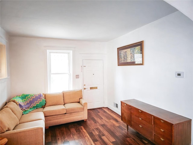 living room featuring dark wood-type flooring