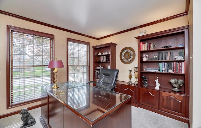 carpeted office space featuring ornamental molding