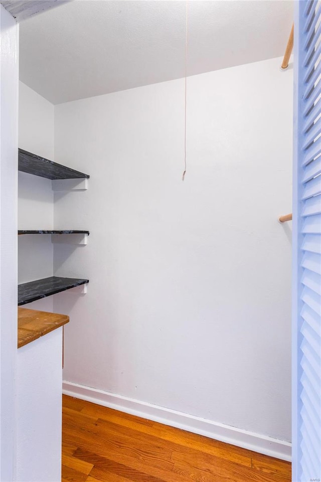 spacious closet with hardwood / wood-style flooring