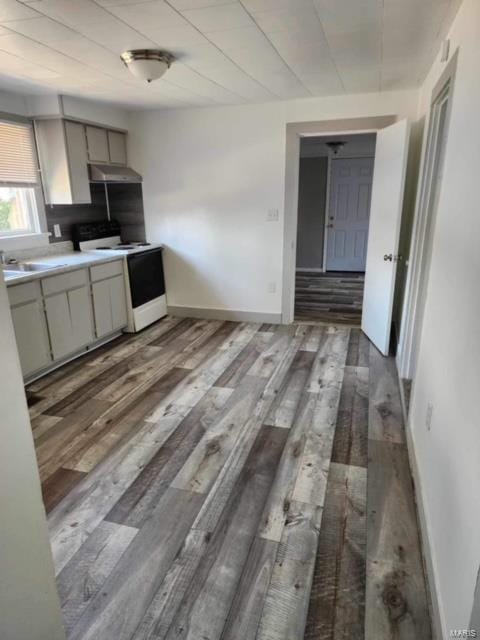 kitchen featuring sink, white electric stove, and dark hardwood / wood-style flooring