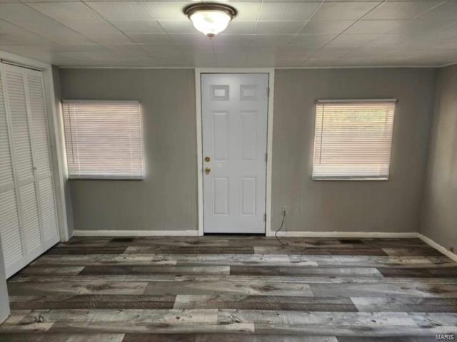 foyer with dark wood-type flooring